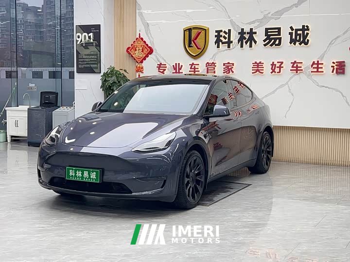 Tesla Model Y Long Range All-Wheel Drive - ავტომობილი ჩინეთიდან