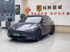 Tesla Model Y Long Range All-Wheel Drive - ფოტო 1