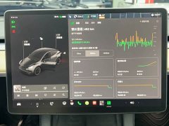 Tesla Model Y Long Range All-Wheel Drive - ფოტო 17