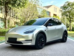 Tesla Model Y Standard Range RWD - ფოტო 1