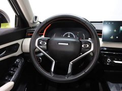 Haval Chitu Turbo Engine Edition 1.5T Platinum - ფოტო 13