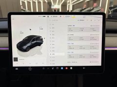 Tesla Model Y Rear-Wheel Drive - ფოტო 13