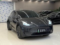 Tesla Model Y Rear-Wheel Drive - ფოტო 3