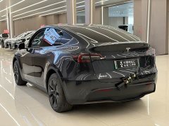 Tesla Model Y Rear-Wheel Drive - ფოტო 6