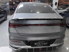 BYD Qin Plus DM-i 55KM Flagship - ფოტო 12