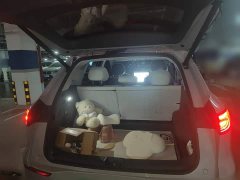 Geely Galaxy E5 530km Explorer Edition - ფოტო 15