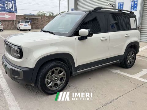 2025 Baojun Yueye Plus 301km Flagship Edition - ავტომობილი ჩინეთიდან