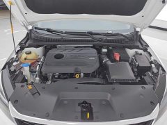 Geely Binrui 1.4T CVT Asian Games Edition - ფოტო 10