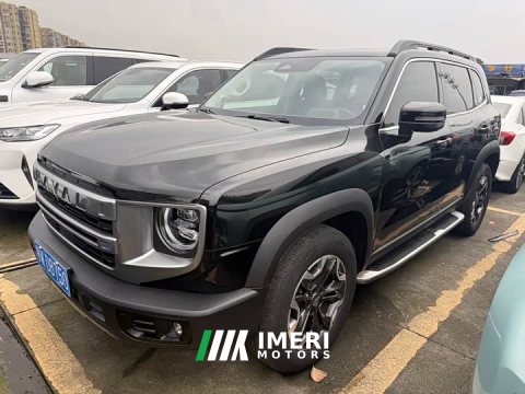 2025 Great Wall Dachshund 2.0T DCT Chinese Rural Dog Edition - ავტომობილი ჩინეთიდან