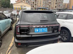 Great Wall Dachshund 2.0T DCT Chinese Rural Dog Edition - photo 16