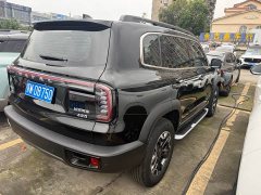 Great Wall Dachshund 2.0T DCT Chinese Rural Dog Edition - photo 17