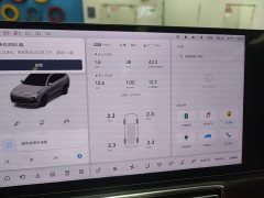 Li Auto L8 Pro - ფოტო 11