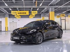 Tesla Model 3 Standard Range RWD Upgrade 3D6 - ფოტო 1