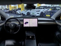 Tesla Model 3 Standard Range RWD Upgrade 3D6 - ფოტო 10