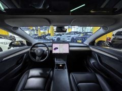 Tesla Model 3 Standard Range RWD Upgrade 3D6 - ფოტო 13