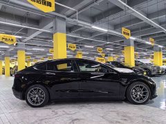 Tesla Model 3 Standard Range RWD Upgrade 3D6 - ფოტო 14