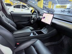 Tesla Model 3 Standard Range RWD Upgrade 3D6 - ფოტო 8