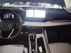 Geely Xingrui 2.0T Diesel Premium - ფოტო 12