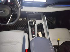 Geely Xingrui 2.0T Diesel Premium - ფოტო 13