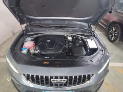 Geely Xingrui 2.0T Diesel Premium - ფოტო 19