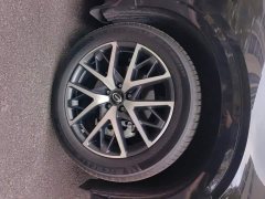 GAC Aion GS8 Dual Engine 2.0T M AWD Luxury Edition 7-Seater - фото 6