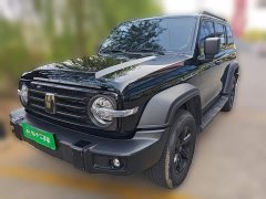 Tank 300 2.0T Conqueror - ფოტო 1