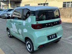 Wuling Hongguang MINIEV Macaron Sandwich Edition 170km Ternary Lithium - photo 8