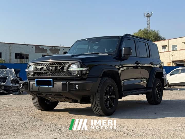 Tank 300 2.0T Gasoline Conqueror - car from China