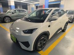 BYD Seagull Smart Driving Edition 305km Freedom Edition - ფოტო 1
