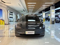 Tesla Model 3 Rear-Wheel Drive - ფოტო 8