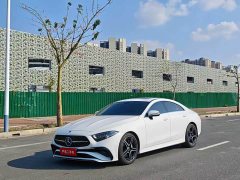 Mercedes-Benz CLS 300 Dynamic - ფოტო 1