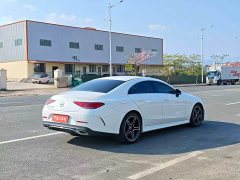 Mercedes-Benz CLS 300 Dynamic - ფოტო 6