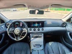 Mercedes-Benz CLS 300 Dynamic - ფოტო 8