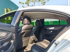 Mercedes-Benz CLS 300 Dynamic - ფოტო 9