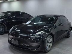 Tesla Model 3 Rear-Wheel Drive - photo 1