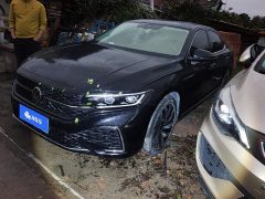 Volkswagen Passat 330TSI Starry Sky Luxury Edition - фото 1