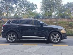 Ford Lingrui EcoBoost 170 Platinum Edition - фото 4