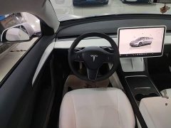 Tesla Model 3 Rear-Wheel Drive - ფოტო 10