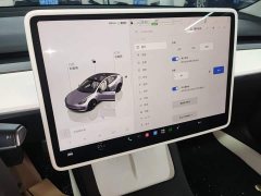 Tesla Model 3 Rear-Wheel Drive - ფოტო 12