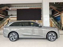Nio Lerado L90 Max Six-Seater - ფოტო 15
