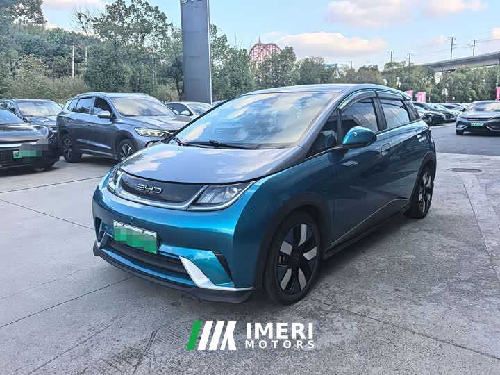 BYD Dolphin 401km Knight Edition - ავტომობილი ჩინეთიდან