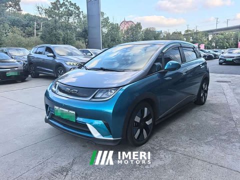 2022 BYD Dolphin 401km Knight Edition - автомобиль из Китая