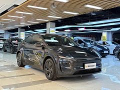Tesla Model Y Rear-Wheel Drive - photo 1