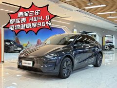 Tesla Model Y Rear-Wheel Drive - photo 7