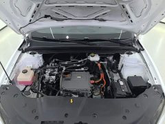 BYD Qin PLUS EV 510KM Travel Edition - ფოტო 19