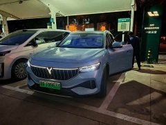 Voyah Lantu FREE Four-Wheel Drive Standard Extended Range Exclusive Luxury Package - фото 1