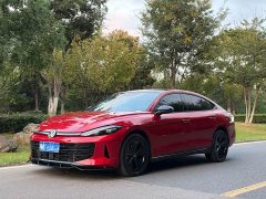 Volkswagen Lingdu L GTS 380TSI Lingfeng Million Anniversary Edition - фото 1