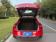 Volkswagen Lingdu L GTS 380TSI Lingfeng Million Anniversary Edition - фото 13