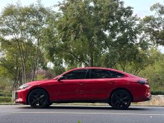 Volkswagen Lingdu L GTS 380TSI Lingfeng Million Anniversary Edition - фото 16