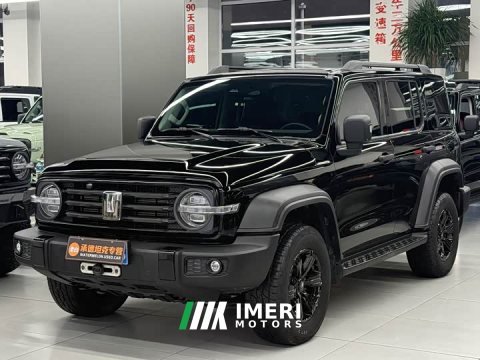 2022 Tank 300 Off-Road Edition 2.0T Conqueror - ავტომობილი ჩინეთიდან